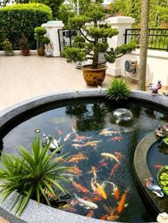 Mera Gardens (D23), Terrace #609998161